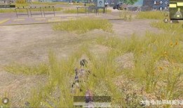 和平精英新军需最新爆料香桃花海,和平精英新春浪漫来袭